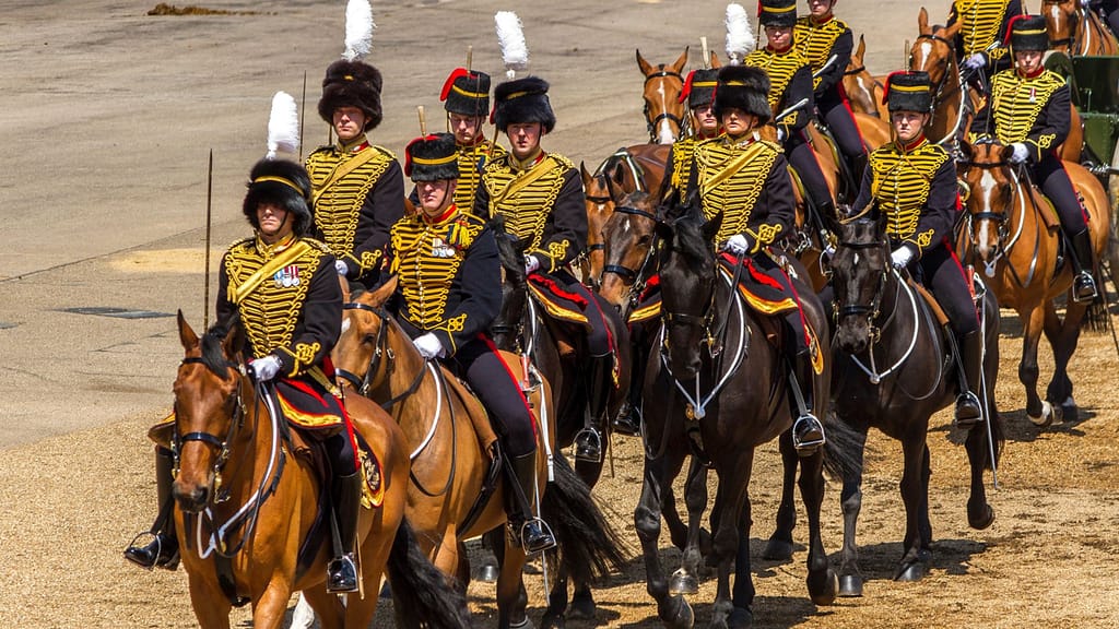 Biomass Filtration Solution for Kings Troop Royal Horse Artillery